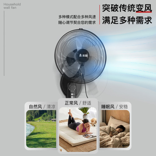 志高壁扇掛壁搖頭電風扇家用大風力壁掛式牆壁扇商用工業辦公掛牆