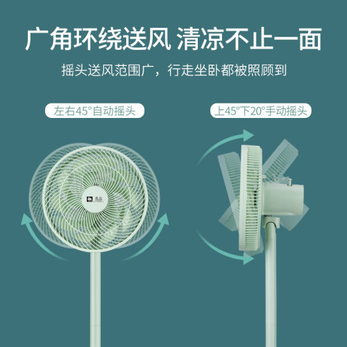駱駝電風扇落地扇遙控風扇輕音大風力空氣循環扇搖頭平面扇電扇