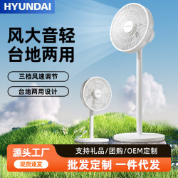 HYUNDAI電風扇家用宿捨遙控定時台地兩用可拆洗大風平面扇落地扇