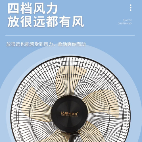 鑽石新款定時落地扇家用多檔搖頭16寸電風扇禮品變頻