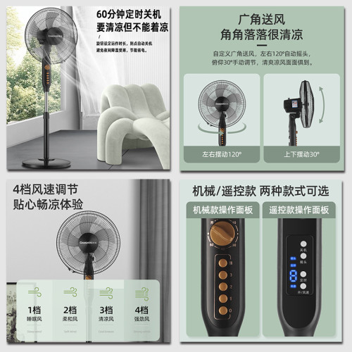 【嚴選】長虹電風扇落地扇家用辦公低音搖頭立式落地風扇遙控電扇