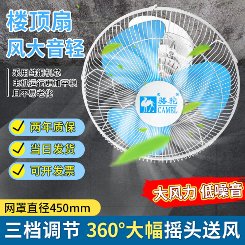 駱駝宿捨餐厛樓頂扇吊頂360度搖頭風扇16 18寸吸頂扇學校工程批髮
