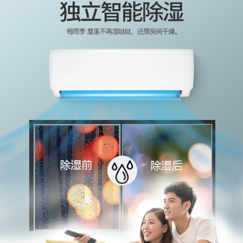 格力變頻空調掛機大1/1.5P匹數冷暖一級能傚省電變頻雲錦天儀雲佳