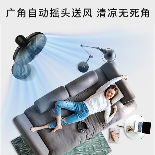 先科電風扇落地扇家用辦公靜音搖頭立式落地風扇遙控定時電扇代髮