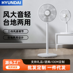 家用電風扇台地兩用三檔遙控定時8m遠距送風輕音省電PP搖頭落地扇