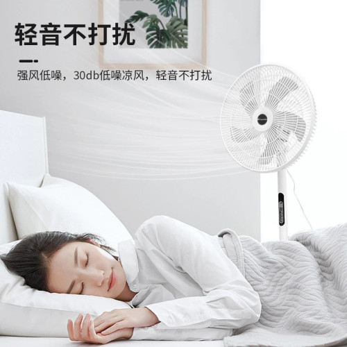 威力 新款7葉電風扇家用16寸搖控定時節能立式循環落地扇禮品代髮