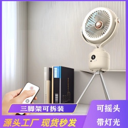 三腳架燈光風扇戶外露營電風扇桌面家用多功能搖頭遙控循環扇跨境