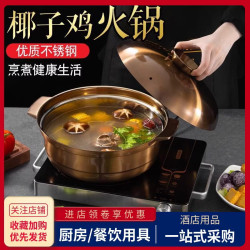 不鏽鋼椰子雞專用煲鍋商用金銅色火鍋電磁爐瓦斯通用鴛鴦湯鍋家用
