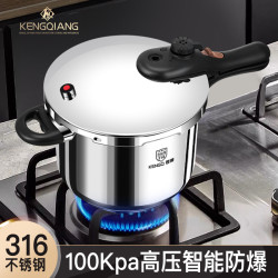 德國316不鏽鋼高壓鍋新款瓦斯爐電磁爐專用家用小型防爆高壓力鍋
