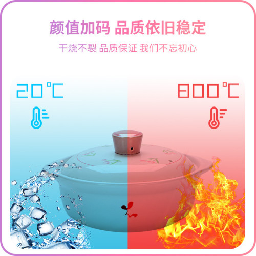 原創設計花朵系列砂鍋防開裂乾燒耐高溫高湯鍋鋰煇石砂鍋