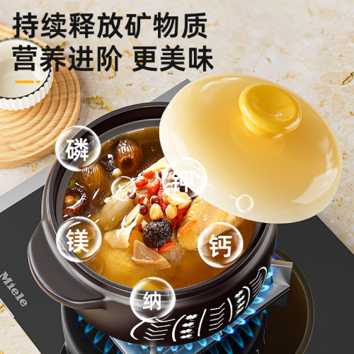 砂鍋煲燉湯家用瓦斯耐高溫乾燒不裂湯鍋燉鍋瓦斯爐專用煲仔飯沙鍋