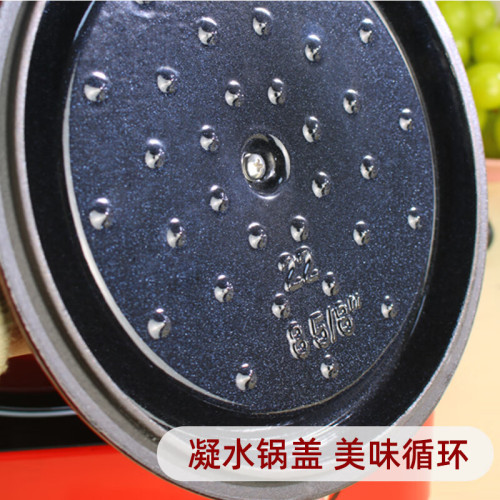R鑄鐵琺瑯鍋燉鍋Revere 湯鍋加厚電磁爐瓦斯爐烤箱通用22cm