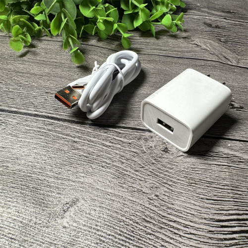 紅果 G02 手機充電套裝 安卓 適用蘋果type-c 5V2安  3C認証