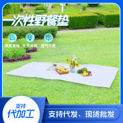 一包五條裝一次性野餐墊戶外防潮墊防水防滑防油無紡布墊子