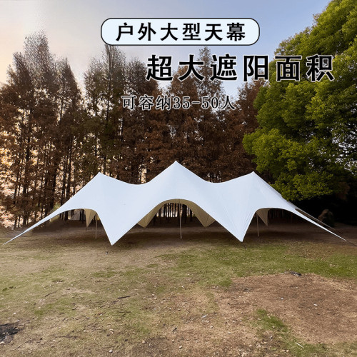 ticify 戶外八爪魚露營家用駝峰雲頂天幕單雙三峰帳篷防雨超大營