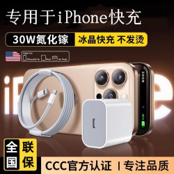 坦適用於蘋果30W充電器16/15/14/13/12/11速充60W數據線