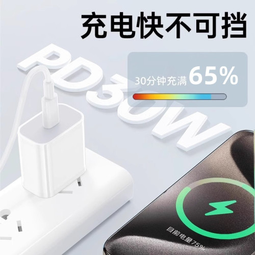 坦適用於蘋果30W充電器16/15/14/13/12/11速充60W數據線