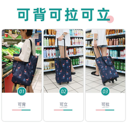 C可攜式小拉車拖車手提購物袋包老人家用伸縮拉桿收納推