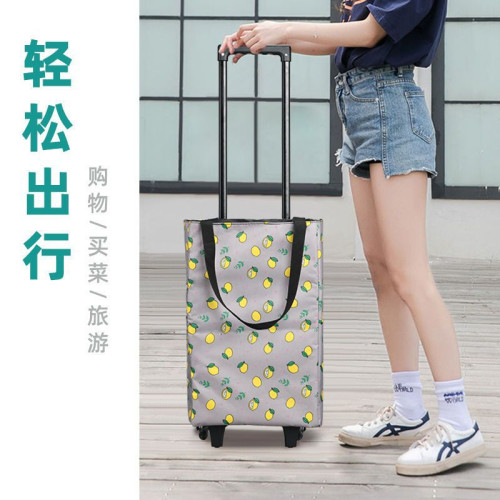 C可攜式小拉車拖車手提購物袋包老人家用伸縮拉桿收納推