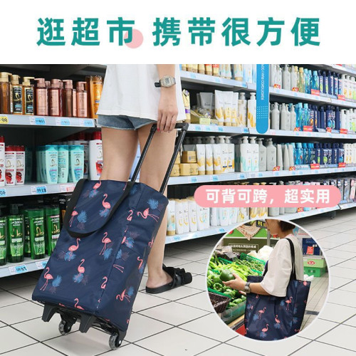 C可攜式小拉車拖車手提購物袋包老人家用伸縮拉桿收納推