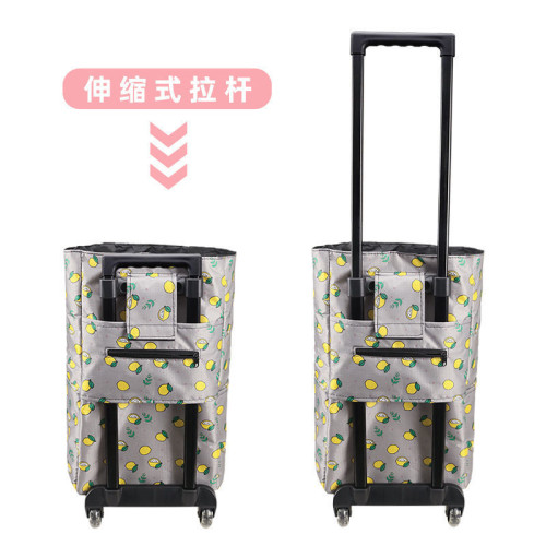 C可攜式小拉車拖車手提購物袋包老人家用伸縮拉桿收納推