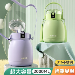 316不鏽鋼智能保溫杯大容量兒童水壺高顔值網紅吸管大肚杯子
