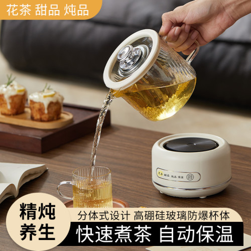 養生壺家用多功能全玻璃煮茶器燒水壺小型辦公室花茶壺電燉杯禮品