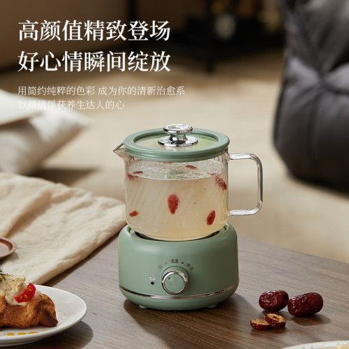 養生壺家用多功能全玻璃煮茶器燒水壺小型辦公室花茶壺電燉杯禮品