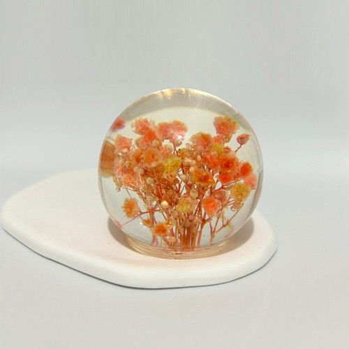 創意蒲公英乾花標本水晶球樹脂天然木質工藝品擺件家居裝飾品禮物