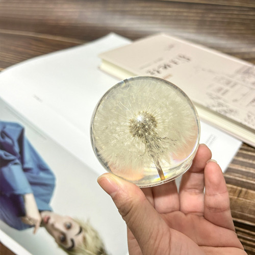 創意蒲公英乾花標本水晶球樹脂天然木質工藝品擺件家居裝飾品禮物