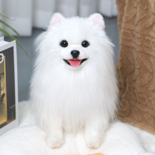 凱特鬍賽尼仿真仿真博美犬狗狗玩偶公仔毛絨玩具男女孩陪伴禮物