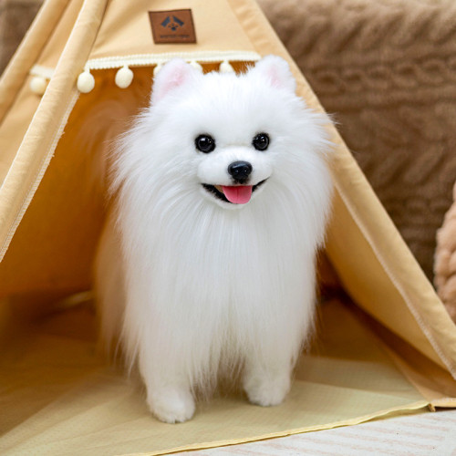 凱特鬍賽尼仿真仿真博美犬狗狗玩偶公仔毛絨玩具男女孩陪伴禮物