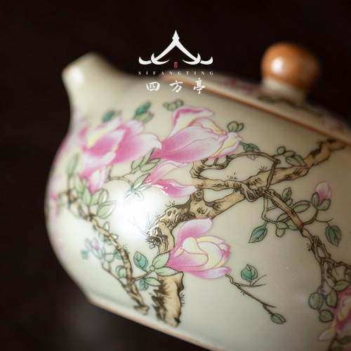 茶壺套裝女士精緻茶具一人蓋碗手抓壺防燙中式泡茶壺家用新款單壺